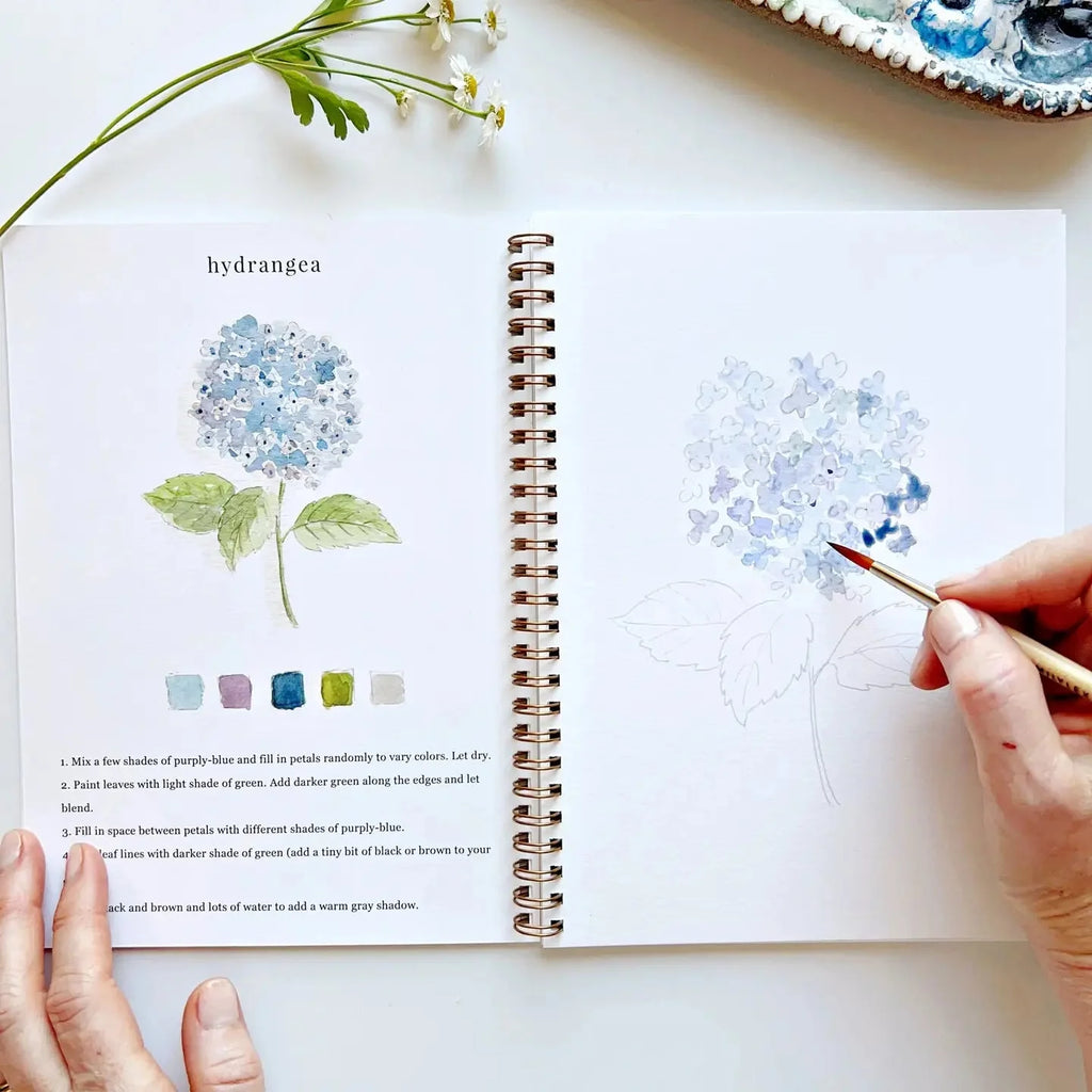 Watercolor Book Complete Set