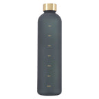 Gradient Frosted Water Bottle with Time Marker