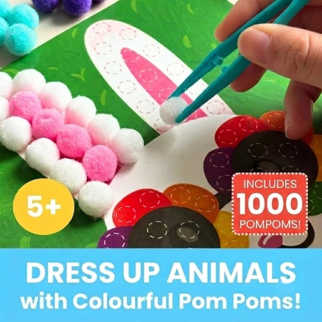 Pom Pom Craft Kit