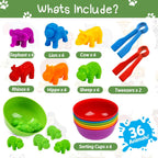 Counting Dinosaur Sorting Toy