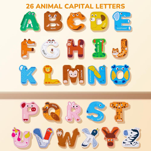 ABC Magnetic Letters