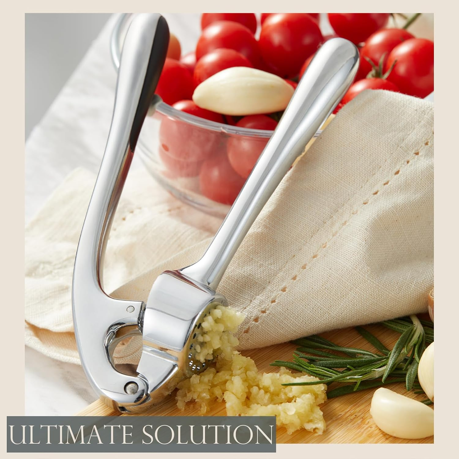 Stainless Steel Garlic Press