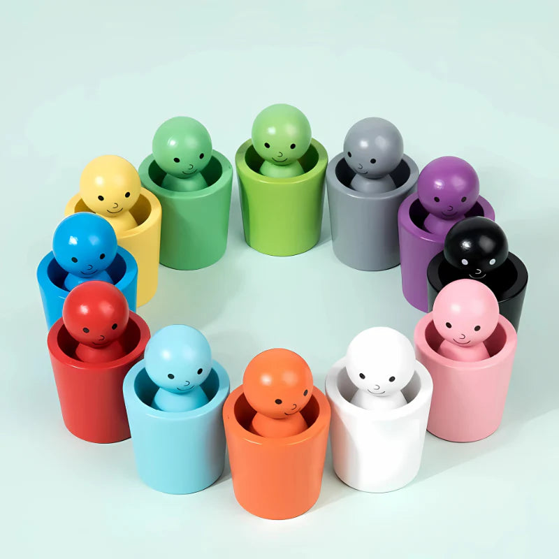 Montessori Wooden Colour Sorting Cup
