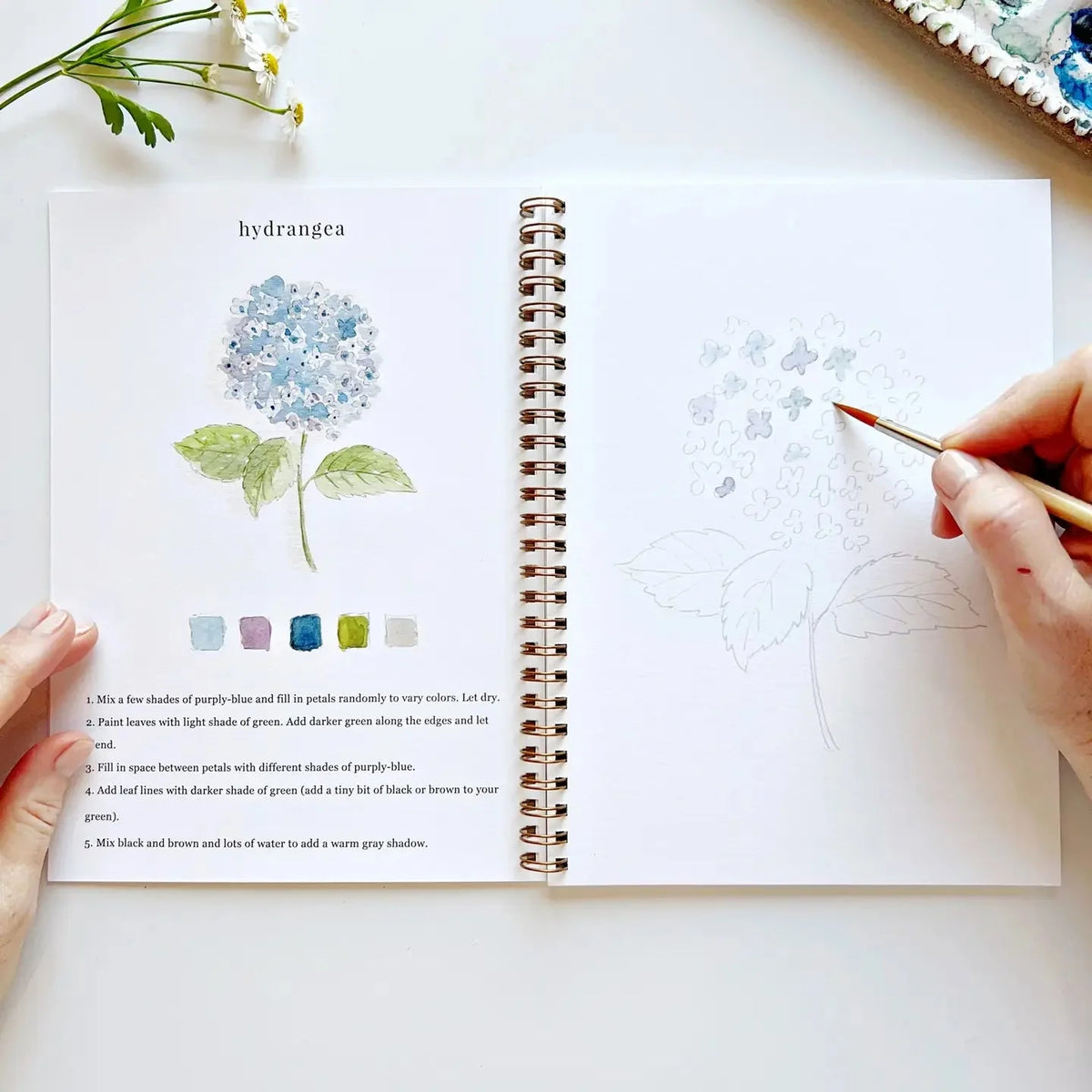 Watercolor Book Complete Set