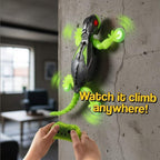RC Wall Crawler Gecko