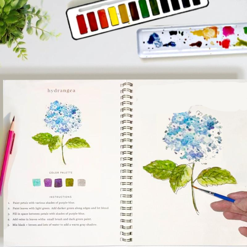 Watercolor Book Complete Set