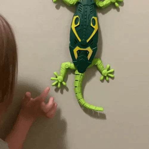 RC Wall Crawler Gecko