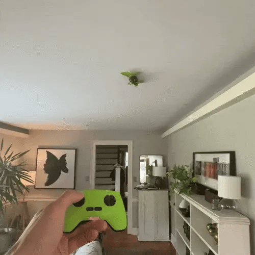 RC Wall Crawler Gecko
