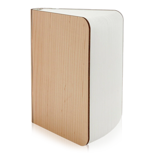 Lito Book Lamp