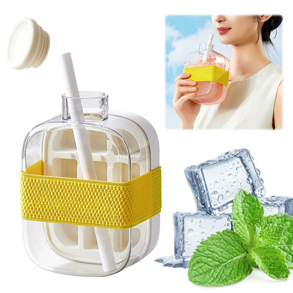 Ice Mold Cooler Bottle 500ml