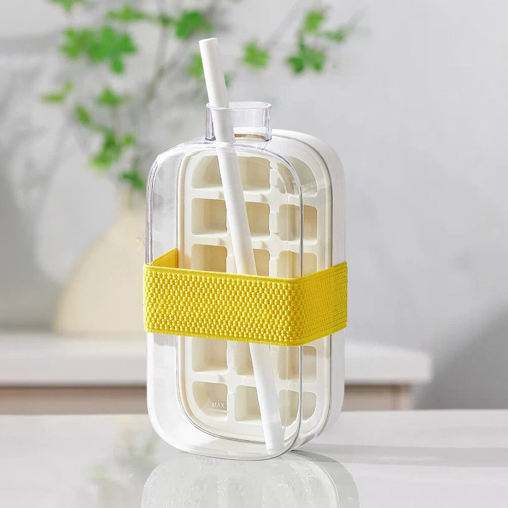 Ice Mold Cooler Bottle 800ml