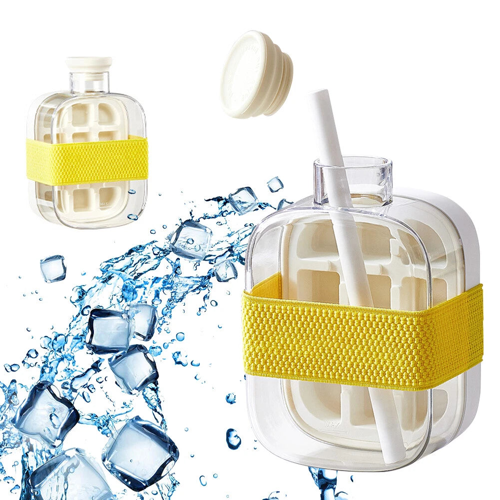 Ice Mold Cooler Bottle 500ml