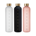 Gradient Frosted Water Bottle with Time Marker